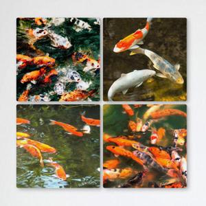 아트박스/꾸밈 if387-멀티액자_복을가져다주는풍수잉어