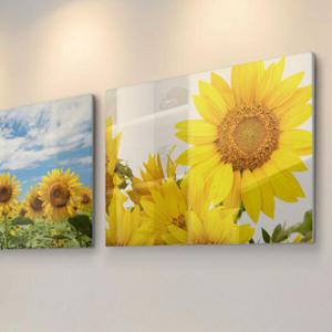 아트박스/꾸밈 ce985-폼아크릴액자78CmX56Cm_하늘바람해바라기