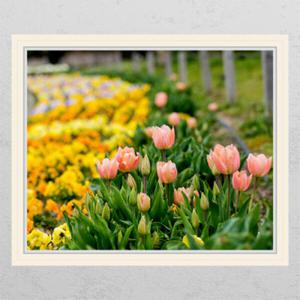 아트박스/꾸밈 ij218-꽃들의기억_창문그림액자_뮤럴시트지