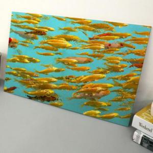 아트박스/꾸밈 pd084-아크릴액자_황금잉어(대형)