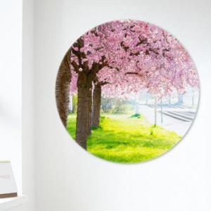 아트박스/꾸밈 fh194-원형아크릴액자_봄을기다린벚꽃나무