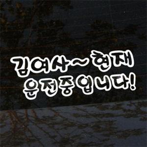 아트박스/뭉키데코 [LSC-016]초보운전 김여사