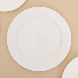 이라이프 다회용 접시 10개입 25cm 플라스틱접시