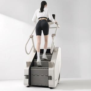 이고진 리얼클라임 스텝밀 머신 방문설치 천국의계단 스텝퍼 가정용 계단 오르기