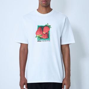 25 FW 스투시 스토로우베리 그래픽 로고 모티프 코튼 반팔 티셔츠 화이트 1905108 1201
