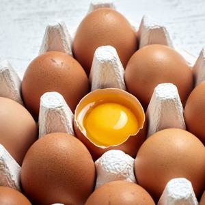 동물복지 무항생제 유정란 계란 60구