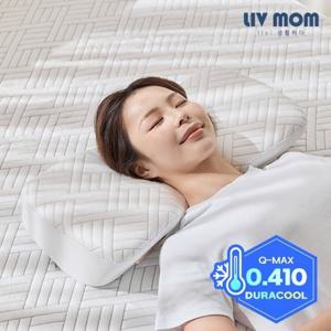 리브맘 프리미엄 듀라쿨 아이스냉감 3D 경추 메모리폼 베개2개+커버2개