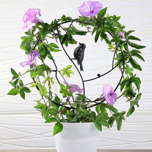 식물 지지대 원형 지주대 화분 넝쿨지지대 덩쿨식물지지대 식물키우기 플랜테리어 철제지지대 꽃지주대 실내정원 식물지지대 꽃지지대 넝쿨식물지지대