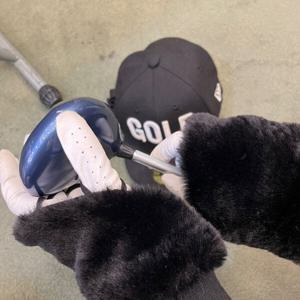 [팜스프링스]골프 테니스웨어 뽀삐 포인트 밍크 장갑sgv11_DG