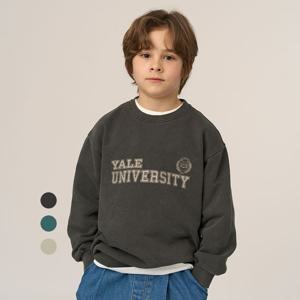 [예일키즈]예일 피그먼트 워시드 맨투맨 YJCCMTE13227