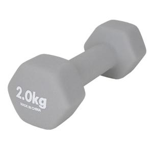 오레인 네오프렌 아령 2kg 그레이 1P 팔운동 홈트 오레인네오프렌 오레인아령 오레인네오프렌아령 팔운동2kg아령 근력운동 근력운동아령 홈트팔운동 홈트아령 실내팔운동