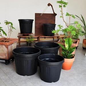 이탈리아 낮은 그레이트 포트화분 (대형 고무 화분) D20L