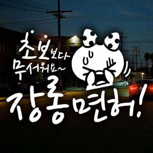 장롱면허 쁘띠 초보운전스티커-반사