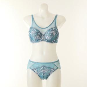 [와코루] 살루트 풀메이크업브라A,B컵/백레이스PT SET (DBR0461DPTA)