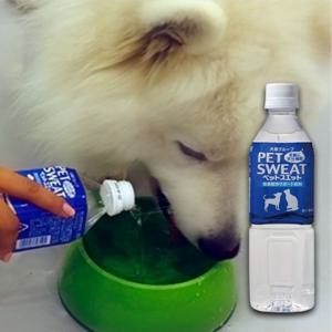 강아지이온음료 강아지 펫스웨트 이온 음료 500ml 1P 갈증 해소 산책