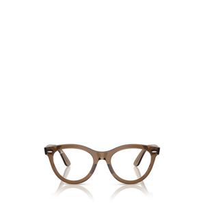 레이벤 ROUNDED BROWN 남여공용 안경 RX2241V 8198