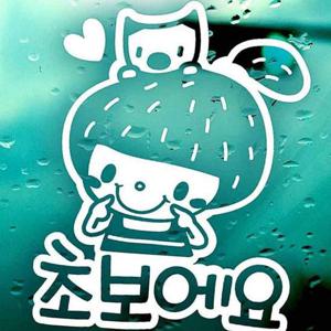 자동차스티커 초보에요 딸기머리여아 반사시트지