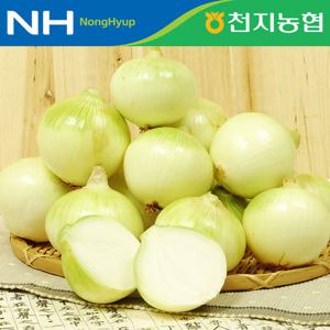 [함평천지농협] 25년산 양파 5kg(소/장아찌용)