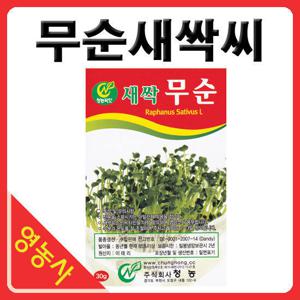 무순씨앗- 새싹무순 무순씨 새싹씨앗 싹채소키우기