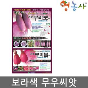 부라보무씨앗 300립 보라색무 씨앗 자색무씨