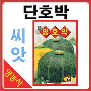밤호박씨앗 10립- 밤호박 밤호박씨 단호박