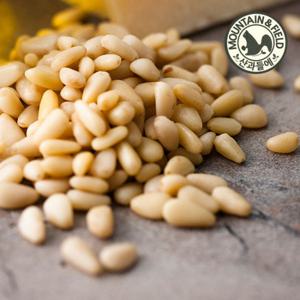 [산과들에] 25년산 국산 백잣 500g (국내산잣)