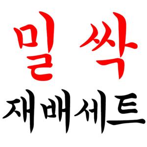 밀싹 재배 5종세트 무료배송 새싹 재배기 텃밭화분