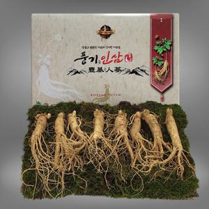 [풍기인삼] 5년근 수삼 500g (8-10뿌리/쇼핑백 증정)