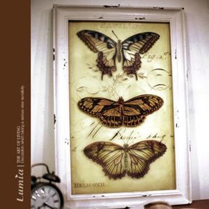 Lumia  빈티지 버터플라이 액자
