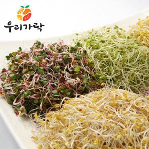 [우리가락]새싹모듬 50g