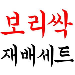 보리싹 5종세트 무료배송 새싹 재배기 배양토 화분