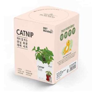 펫모닝 pmc296 캣닢 화분재배세트