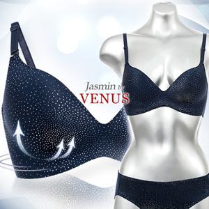 [비너스 자스민]실버글리터 노와이어 몰드 브라팬티세트 jbp2112