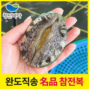 [청산바다] 완도 활전복 대복 10-12미 1kg