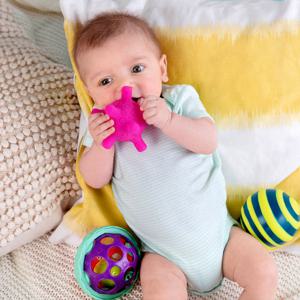 [브랜드B] 범피럼피볼4종세트 / 베이비소프트볼 4종