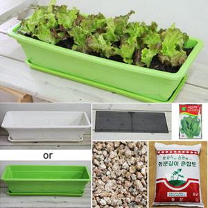 가꾸지오 채소키우기세트(대)DIY