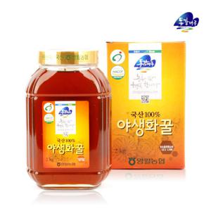 [영월농협] 동강마루 야생화꿀 2kg(병)