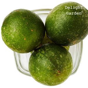 [딜라잇가든]냉동 라임(모히또)1kg