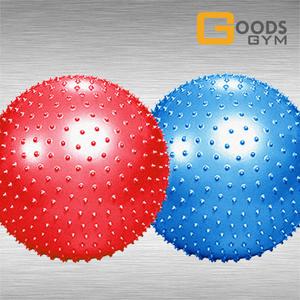 구스짐 짐볼 마사지 65CM 안티버스트 프리미엄 다이어트 홈트