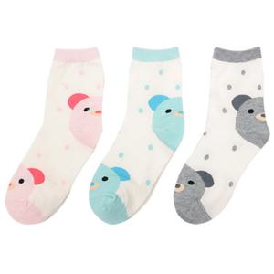 [제이핑크]여성 도트베어 프리미엄 패션양말