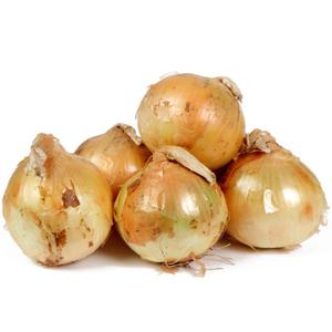 25년 국내산 햇 양파 5kg(중사이즈)