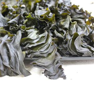 완도 햇미역귀/미역귀 250g