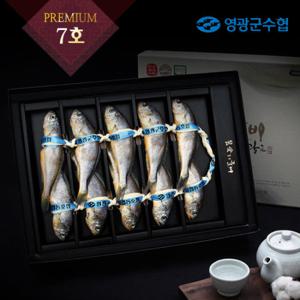[영광수협]몸愛좋은 영광굴비 프리미엄7호 2.5㎏(10미)+가방