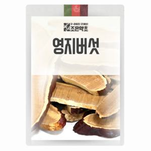 영지버섯 500g