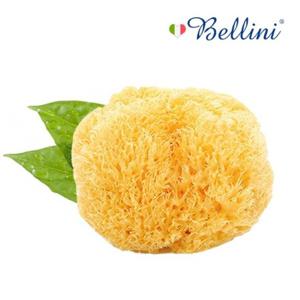 벨리니 천연해면스펀지 허니콤SA16 목욕타올 샤워볼 아기목욕