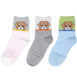 [제이핑크] 여성 잭러셀 프리미엄 패션양말 10족