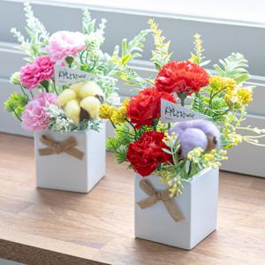 비누 카네이션 조화 화분 러블리즈 Aset 23cm 2컬러 꽃 어버이날 스승의날 테이블 선물