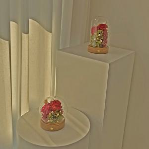 [비솜] LED 프리저브드 플라워 무드등 이터널로즈