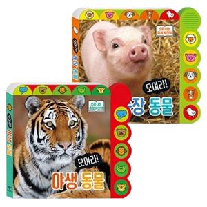 [애플비] 소리나는 촉감 사진책 전2권
