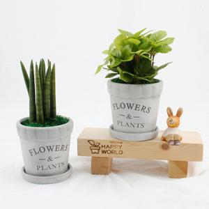 가꾸지오 레터링원형시멘트화분 17종 택1